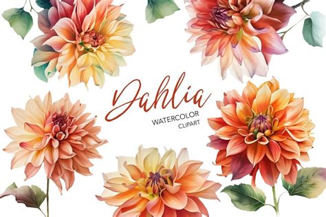 daliah porn|Dahlia Bloom Tube 